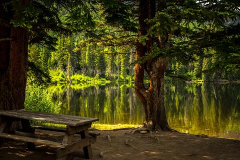 view of pond in a park, trees, and picnic table